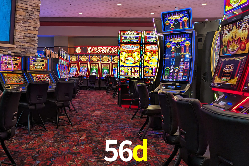 Experiência VIP 56d